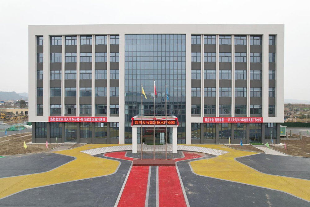 精益智造，創新破圈 | 四川天馬2024年創新發展工作會議成功召開(圖16)